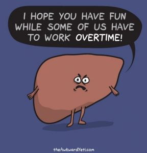 healthy liver