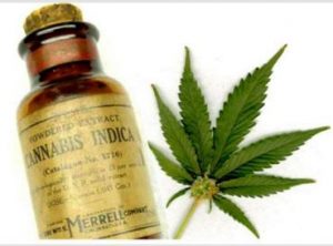 Cannabis oil cancer