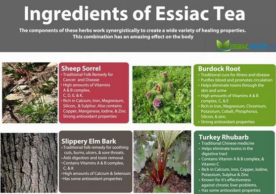 Essiac Tea Cancer