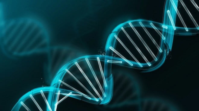 DNA Activation: The Secret to Health and Enlightenment