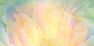 Cobra Update – 21st May 2018 – Firing the Grid Update Clam flower graphic, light pastel tones