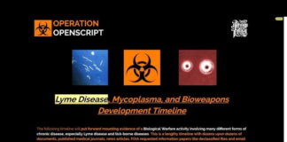 Lyme Disease, Mycoplasma, and Bioweapons Development Timeline