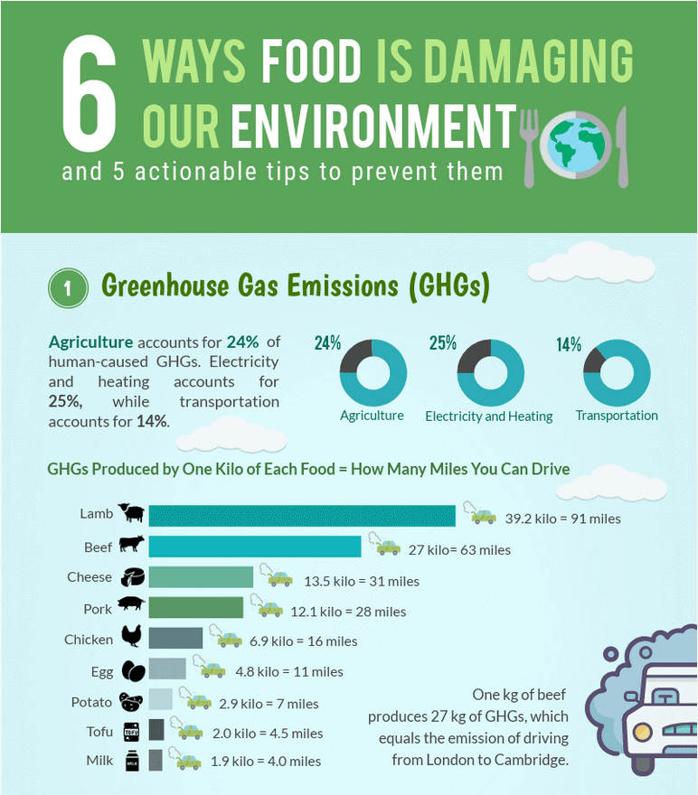 Infographic 6 ways food is damaging our enviroment