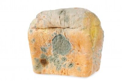 Mouldy looking bread