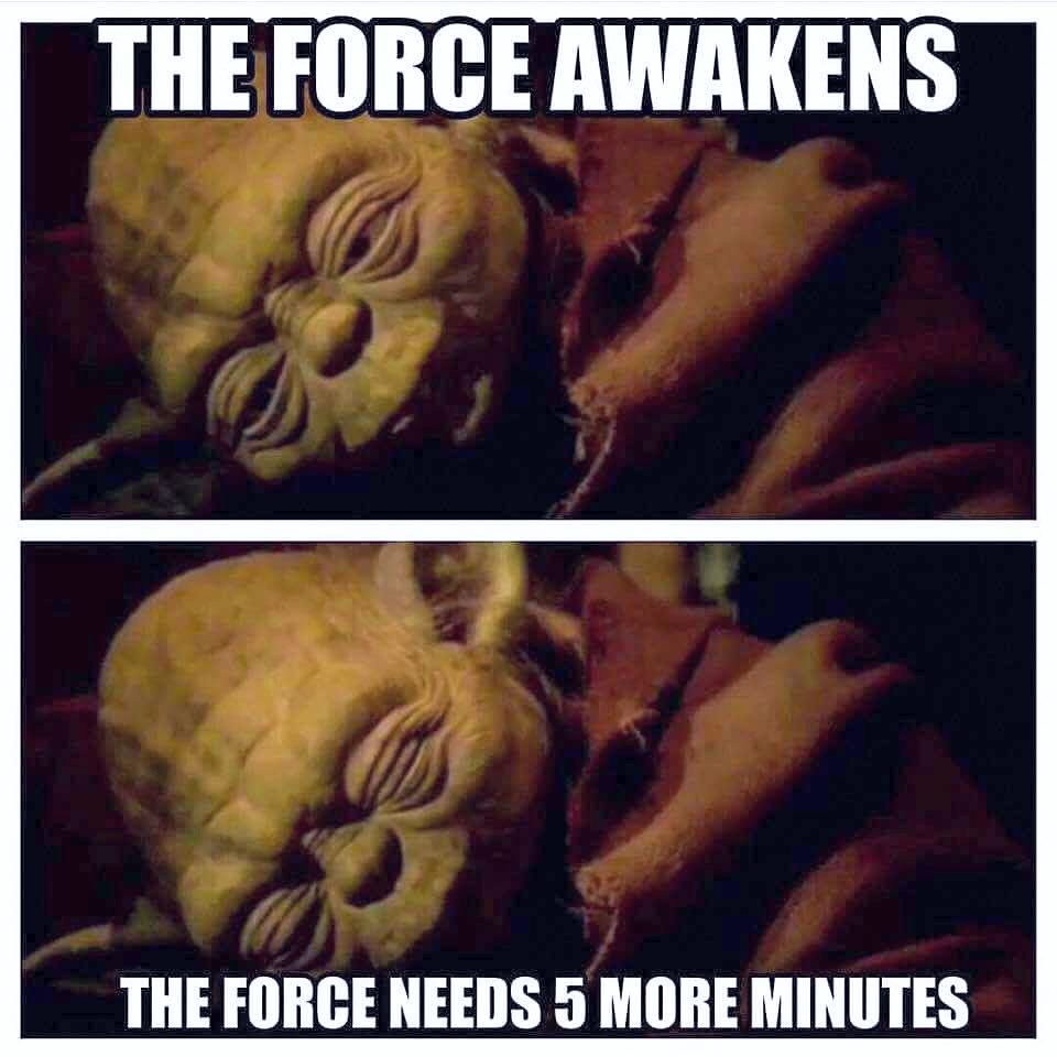 Yoda is ready, wait no 5 more minutes rest