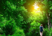 Le Rêve de Gaïa Academy: A Living Answer for Those Who Know the Shift Is Real