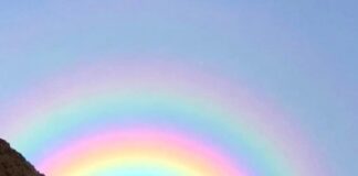 “Pulsating Anomalies In The Schumann Resonance And Sun”