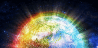 Daily Flower of Life Meditation – Until the Event