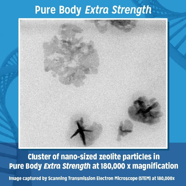 microscopic picture of zeolite nano particles