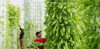 Next Gen Farming Without Soil and 90% Less Water ( You can grow a Variety of Plants Without ANY Soil and 90% LESS Water )