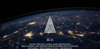Cobra Update – Silver Trigger Final Update – 11/11