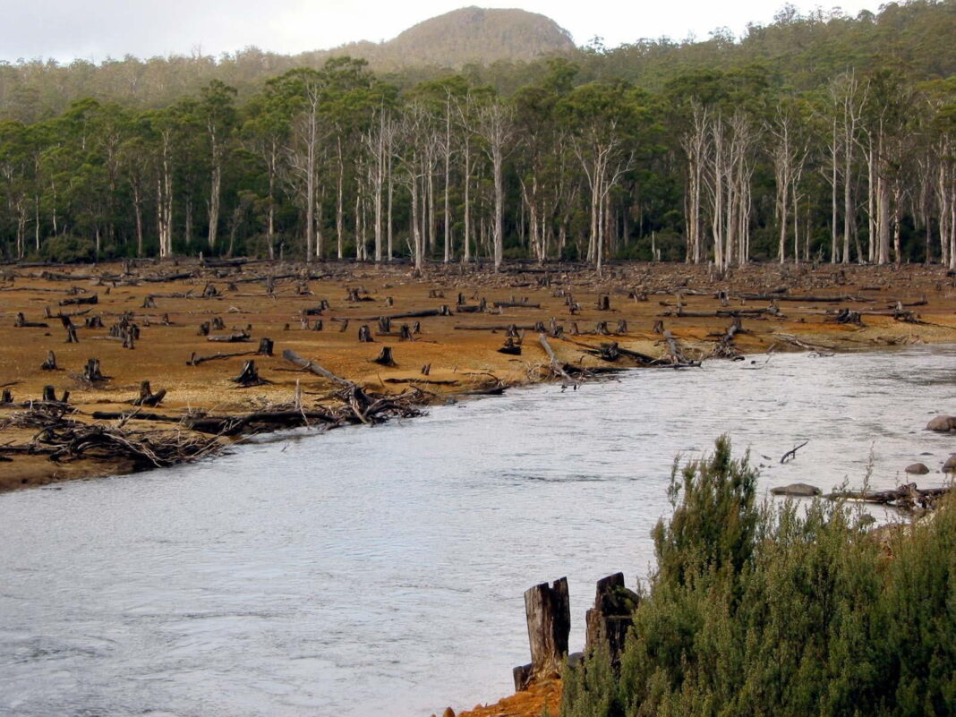 Solutions On How To Stop Biodiversity Loss Prepare For Change