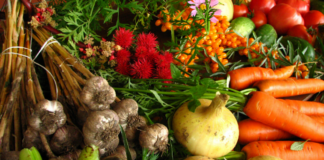 10 Vegetables You Can Easily Grow at Home All Year Round