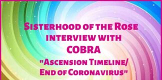 Sisterhood of the Rose Interview with Cobra: Ascension Timeline / End of Coronavirus SOTR interview Cobra graphic