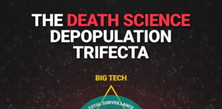 Must-see infographic: The “Death Science” Depopulation Trifecta … Biological weapons, vaccines and 5G, all aimed at humanity