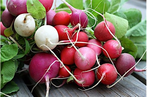 radishes