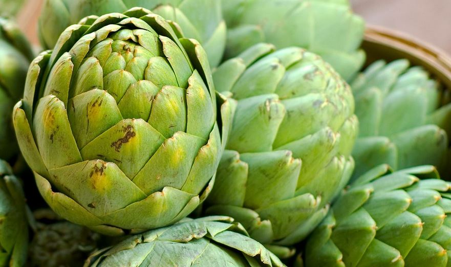 magical and conscious artichokes