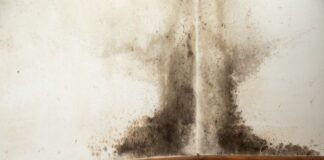 How to Get Rid of Black Mold Naturally