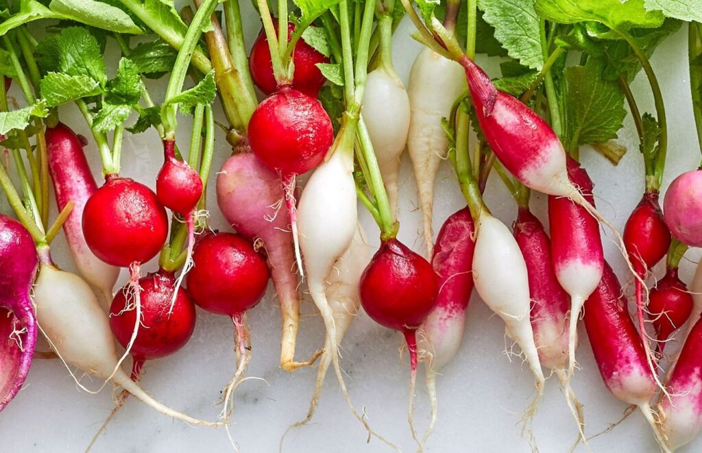 Magical and Conscious Radish