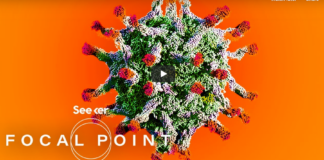 Bioweapon Labs Must Be Shut Down and Scientists Prosecuted