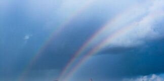 Cobra Update: Progress Report Triple Rainbows Over Taiwan