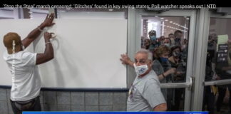 Election Fraud Investigation Updates