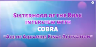 Sisterhood of the Rose interview with Cobra
