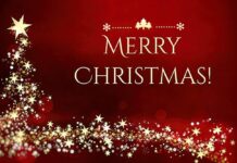 Christmas Light by Jennifer Peters and Dana Hiett