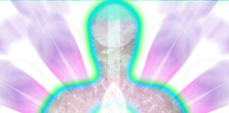 Consciousness Descension into Matter – Lisa Renee and Energetic Synthesis