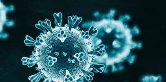 Resolving “Long-Haul COVID” and Vaccine Toxicity: Neutralizing the Spike Protein