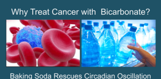 Nothing Like Bicarbonate for Cancer – The Science Part Two
