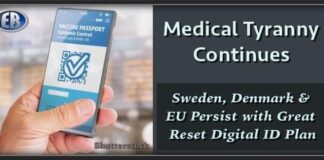 Sweden vaccine passports will ‘probably be required’ for shopping, eating out, travel, meeting loved ones