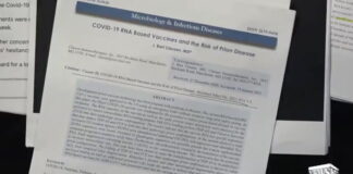 WORLD SHOCKED BY SPARS 2025-2028 DOCUMENT 04.03.21