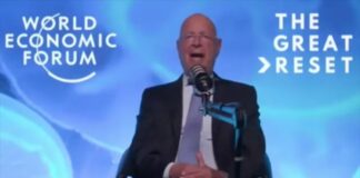 How We really Feel about Klaus Schwab and his Great Reset