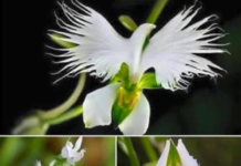 The Promise of the New Beginnings