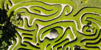 Piecing the Puzzle Pieces Together When in a Maze