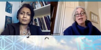 ALISON MCDOWELL: THE GREATER DANGER: THE GLOBAL BIOSECURITY STATE