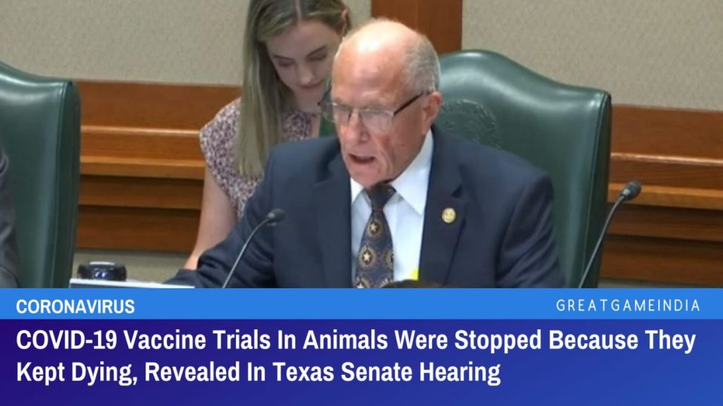 Los ensayos de la vacuna COVID en animales se detuvieron porque siguieron muriendo, según se reveló en la audiencia del Senado de Texas