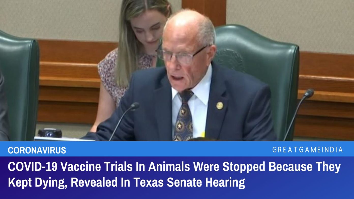 COVID-19VaccineTrialsInAnimalsWereStoppedBecauseTheyKeptDying2CRevealedInTexasSenateHearing.jpeg