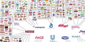 MONOPOLY: AN OVERVIEW OF THE GREAT RESET – follow the money