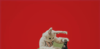 Rabbit Hole Chess