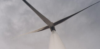 REMINDER – Elizabeth McQuade’s Remote Viewing Class – Nature Restoration Group