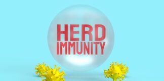 Cracks Appear in the BEAST System – State of the Nation