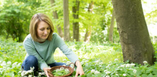 Sacred Plant Medicine with Stephen Harrod Buhner