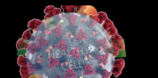 COV-19 IMMUNITY IN 19 MINUTES – Spacebusters