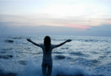 What is the Purpose of YOUR incarnation? Why exactly are YOU here?