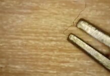 Breaking: High Frequency Vaxxed People – SGT Report