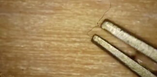 Breaking: High Frequency Vaxxed People – SGT Report