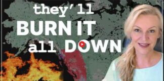 DID THE GLOBAL MAFIA BURN IT DOWN?