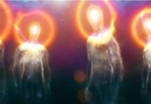 Serving Life and Consciousness